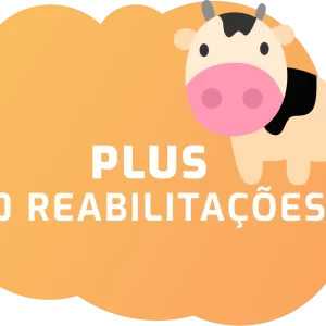 2X-Plus- 10 Reabilitações