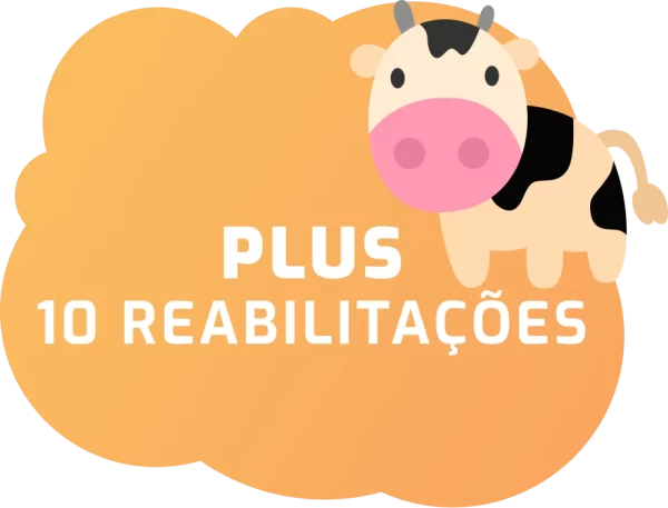 2X-Plus- 10 Reabilitações
